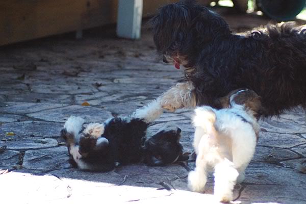 Bixley playing with his mother, Britta