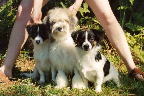 Ms Monroe, Velvet & Tahtu