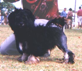 Latara 4 months old
