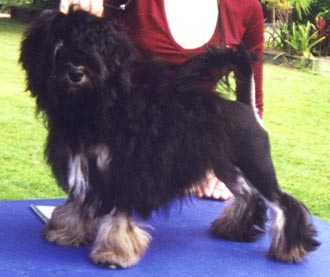 Latara 6 months old